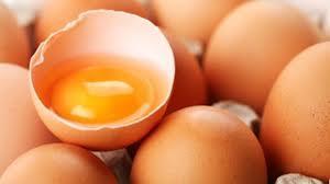 Fresh Eggs