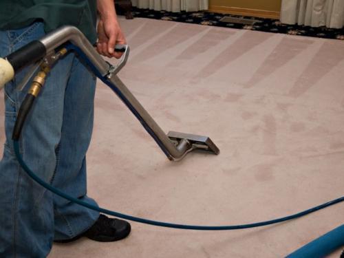 Killeen Steam Team carpet cleaning