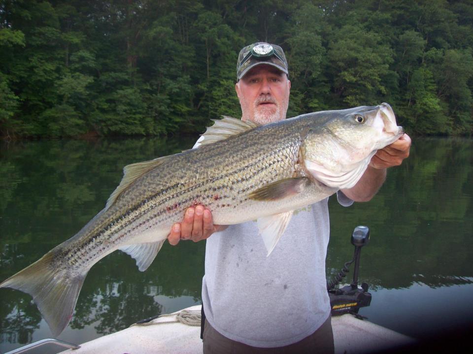 Melton Hill Lake River Monster