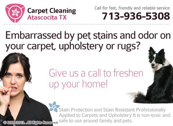 Pet Stain Removal