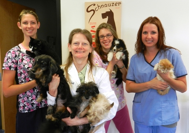 Advanced Care Pet Hospital