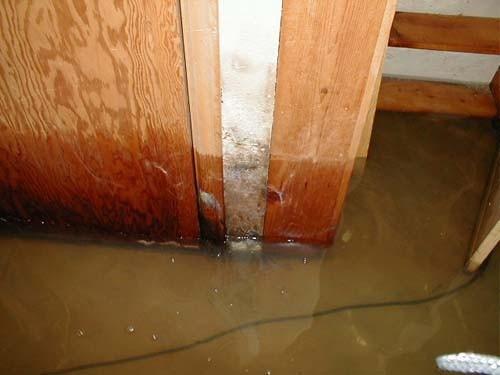 Wood, drywall, wallpaper, insulation, and more are all building materials on which mold can grow following a major or minor water disaster.