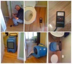 Master Service Pro Carpet & Tile Cleaning, Flood Damage Restoration & Mold Remediation