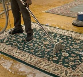 Rug Cleaning Service