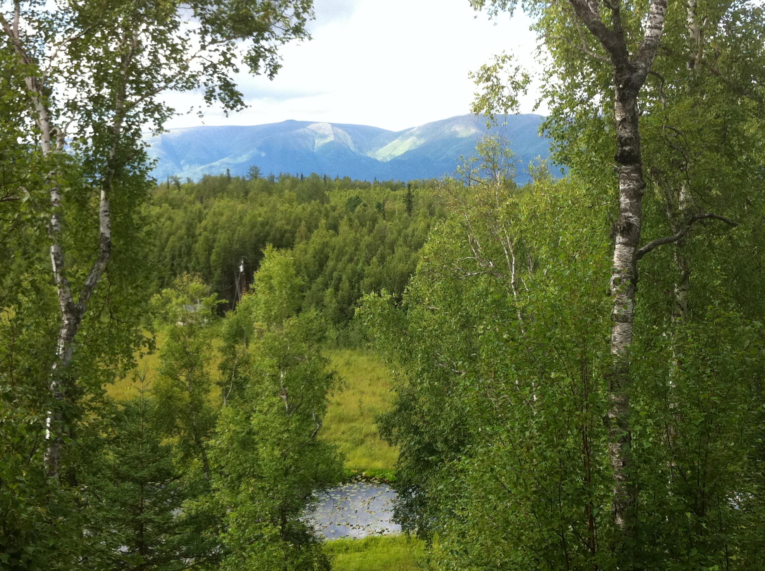 Creekfront cabin suites w/ beautiful mountain views