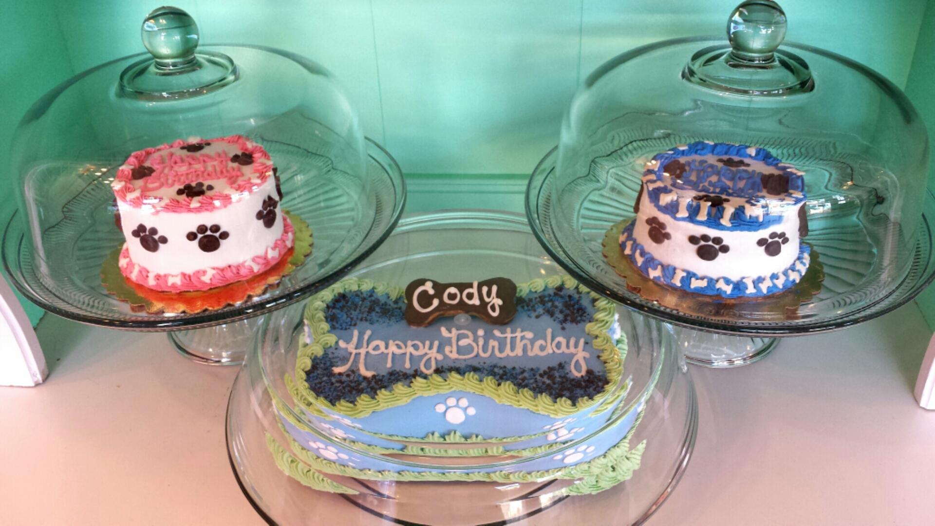 Dog Cakes