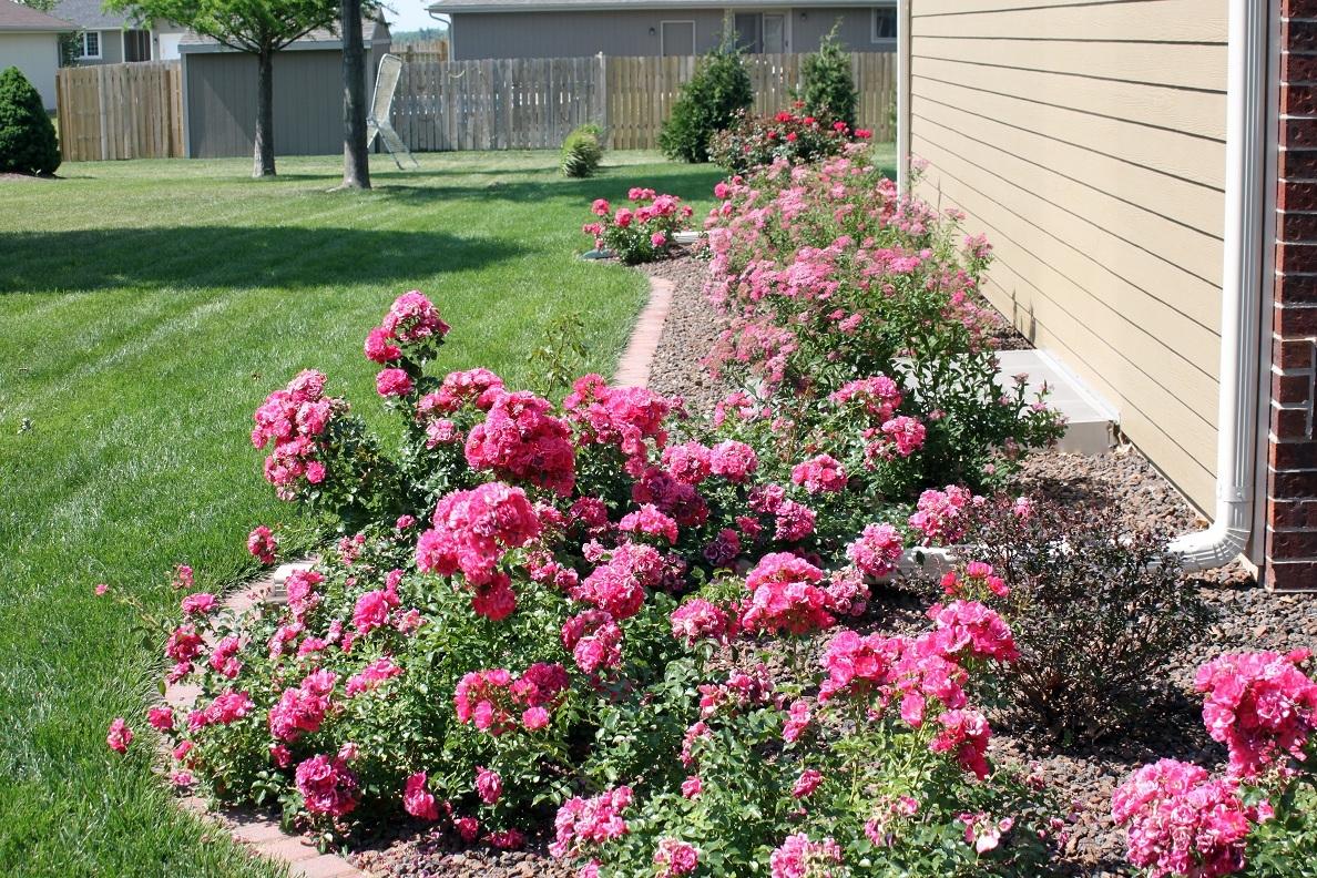 Landscape Beds