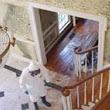 Mold Removal