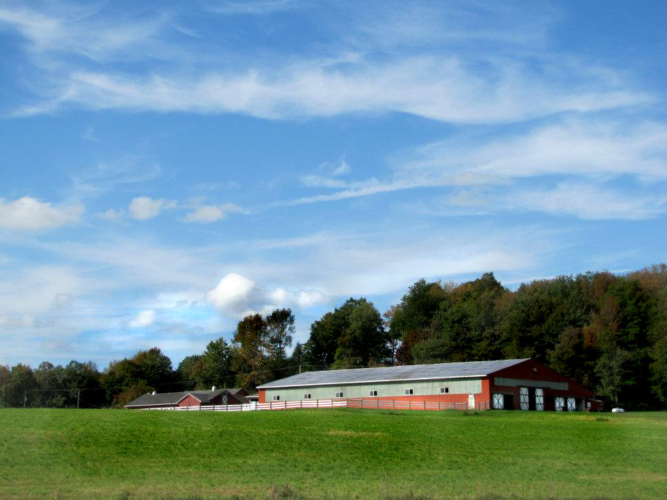 Scottfield Stables, Montrose, PA,  20 minutes from Binghamton, NY