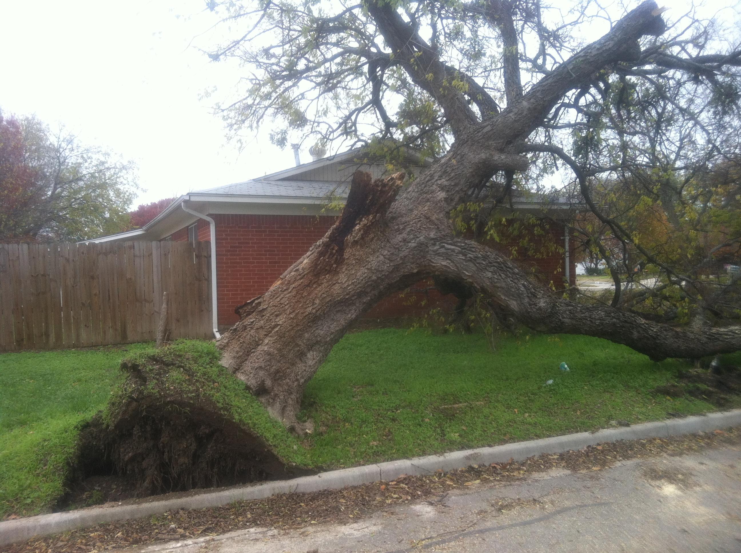 Storm Damage