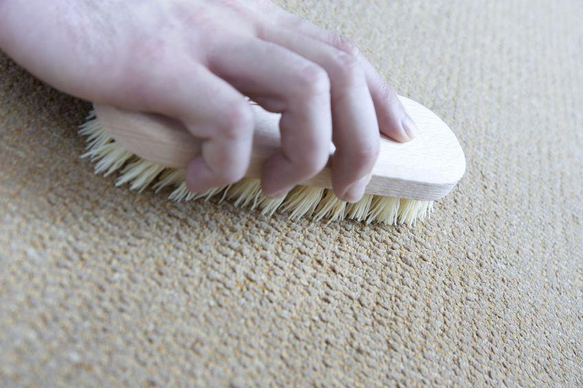 Carpet Cleaning Everett