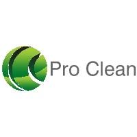 Pro Clean and Restoration