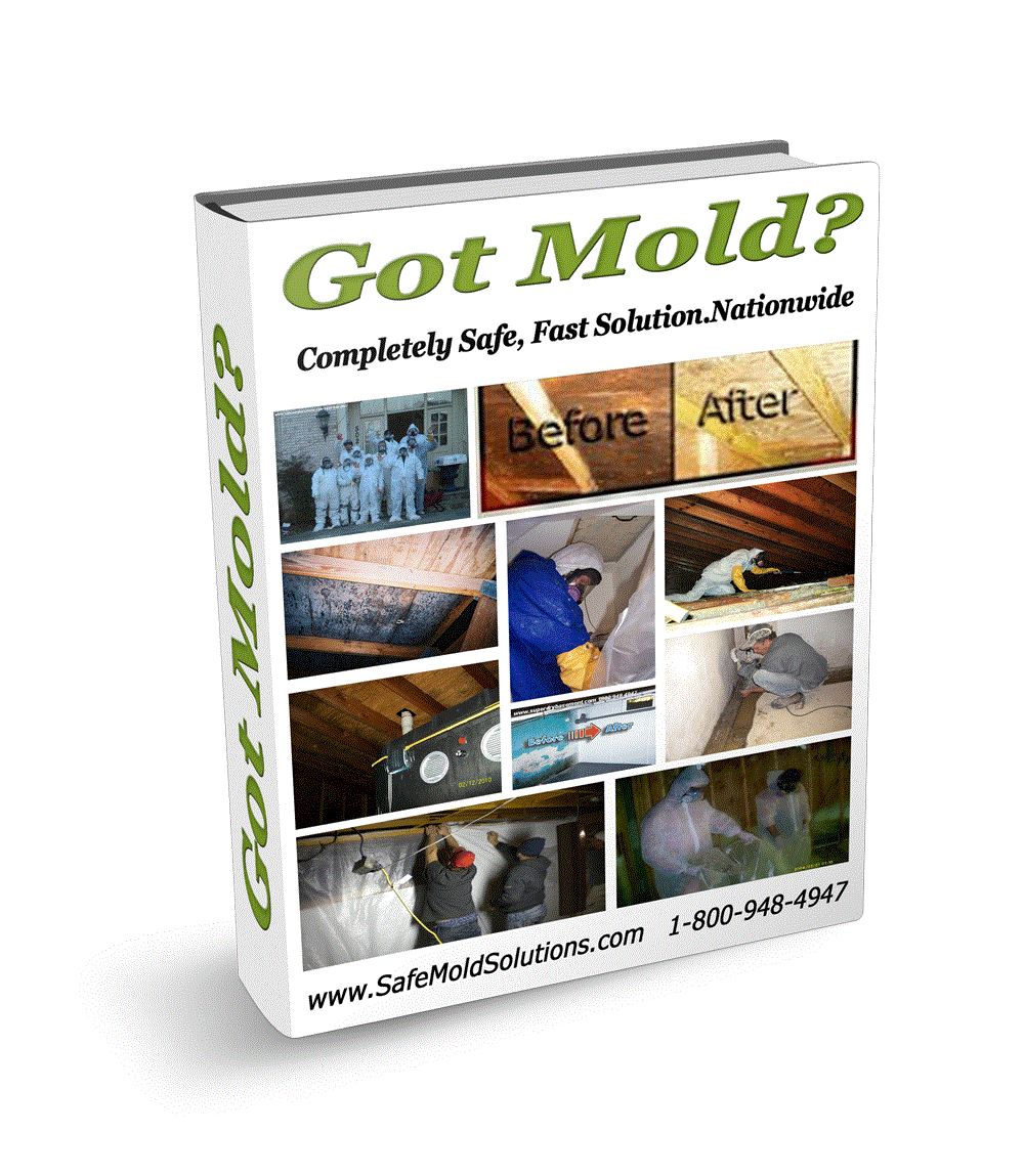 #1MOLD Removal Experts! Non-Toxic, Fast! Best Price Guaranteed! Safe for Humans, Lethal for mold