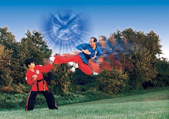 Flowery Branch Karate