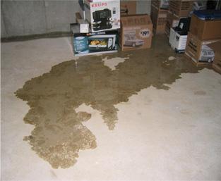 Water in your Basement?