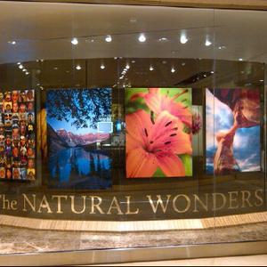 The Natural Wonders Gallery