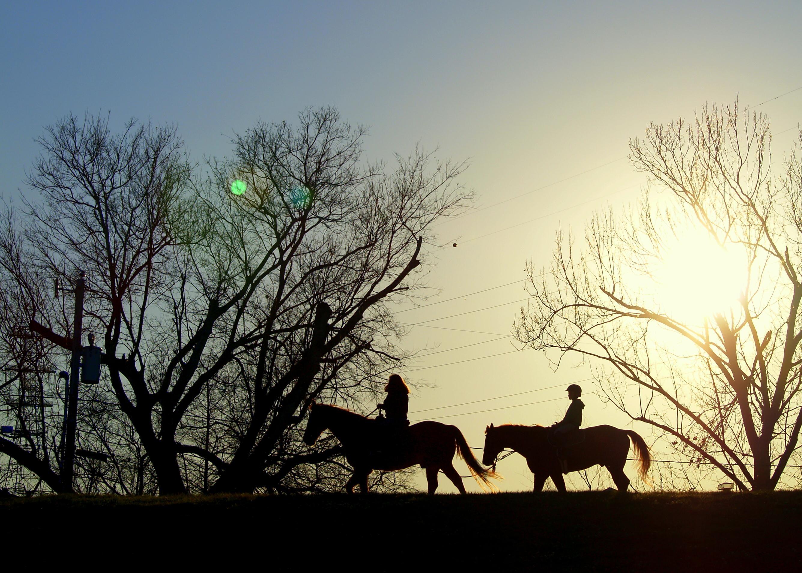 Riverbend Stables