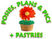 Posies, Plans & Pics + Pastries