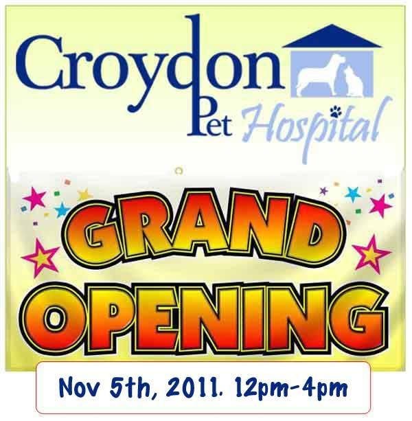 Grand Opening flyer