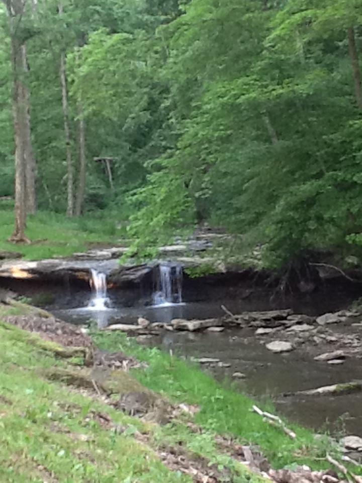 Creekside Waterfall