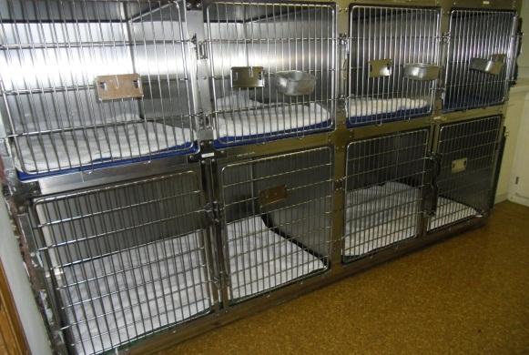 Kennel area