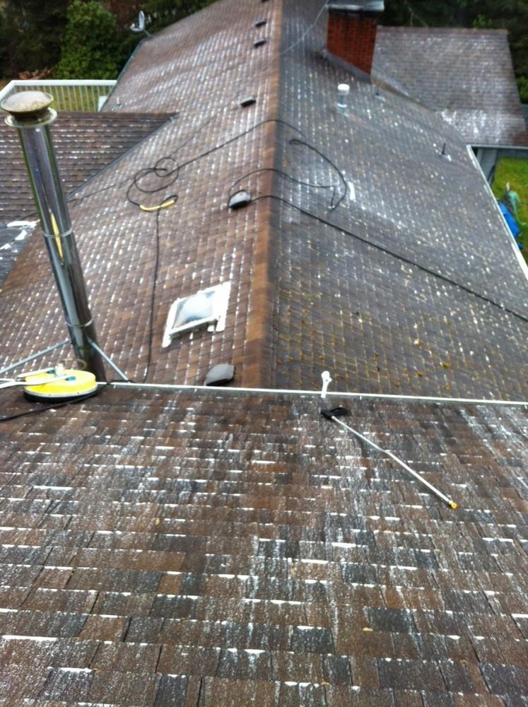 Before Roof Cleaning