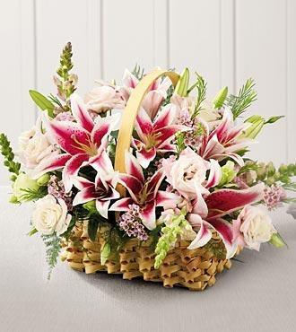 Stargazer Baskets