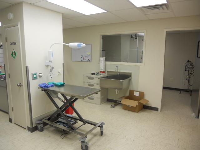 Treatment Room