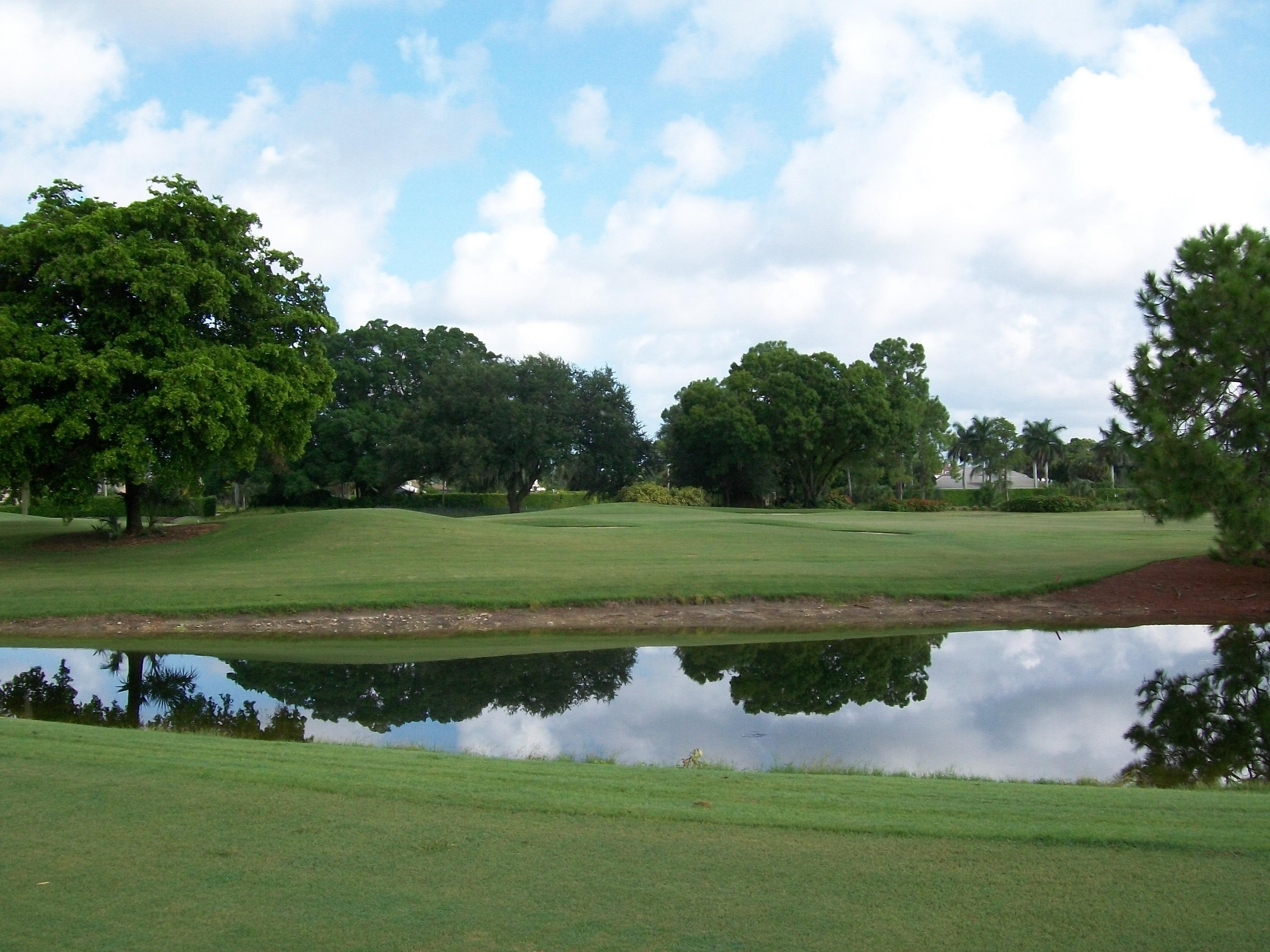 View From #1 Tee