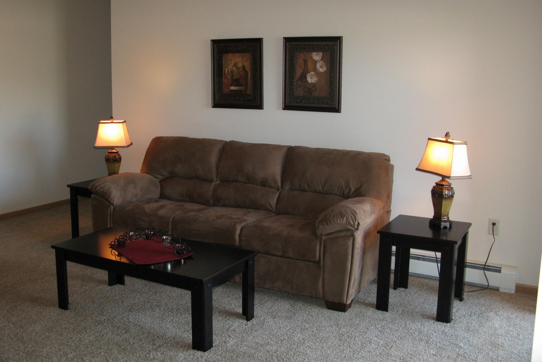 Willow Estates Apartments - Living Area - Plover, WI