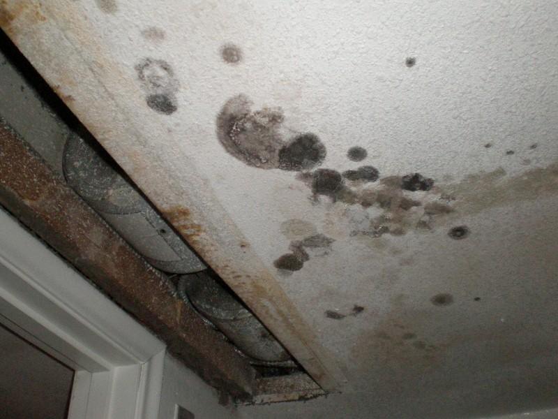 Mold exposure can pose health risks. Our company performs the services to appropriately inspect, test, and remediate properties affected by mold.