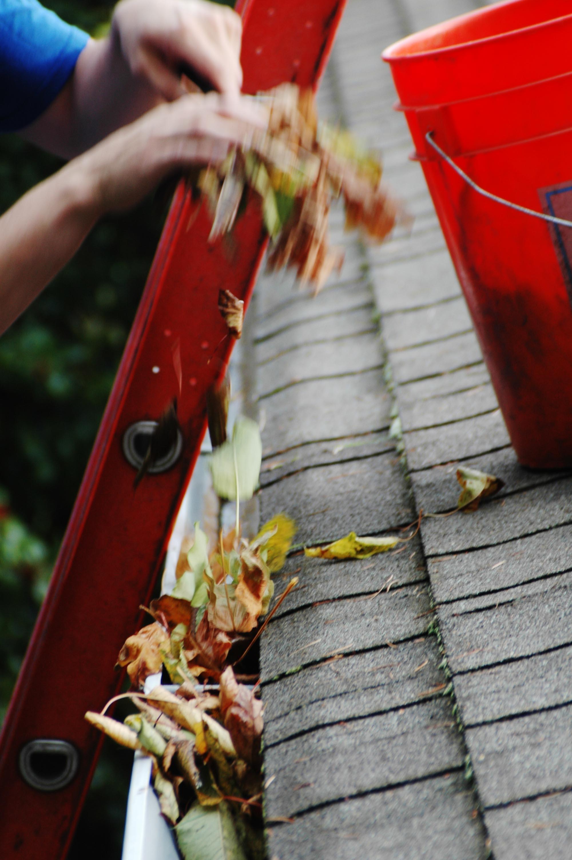 Gutter and downspout cleaning