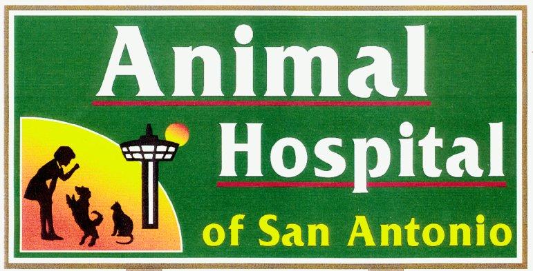 Animal Hospital of San Antonio