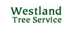 Arborist Service in Scarsdale, NY