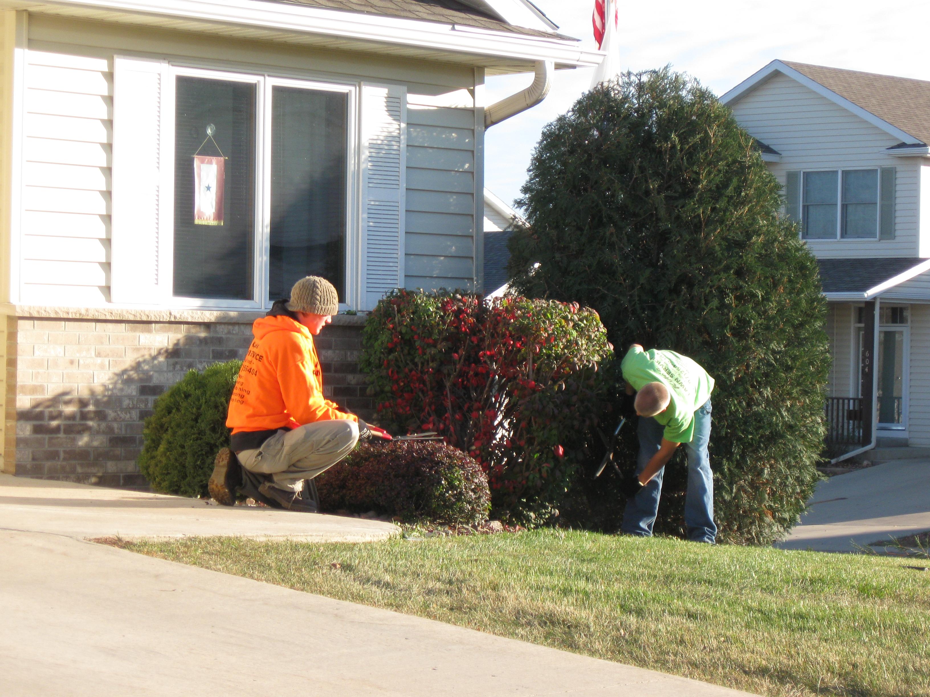 Shrub Trimming