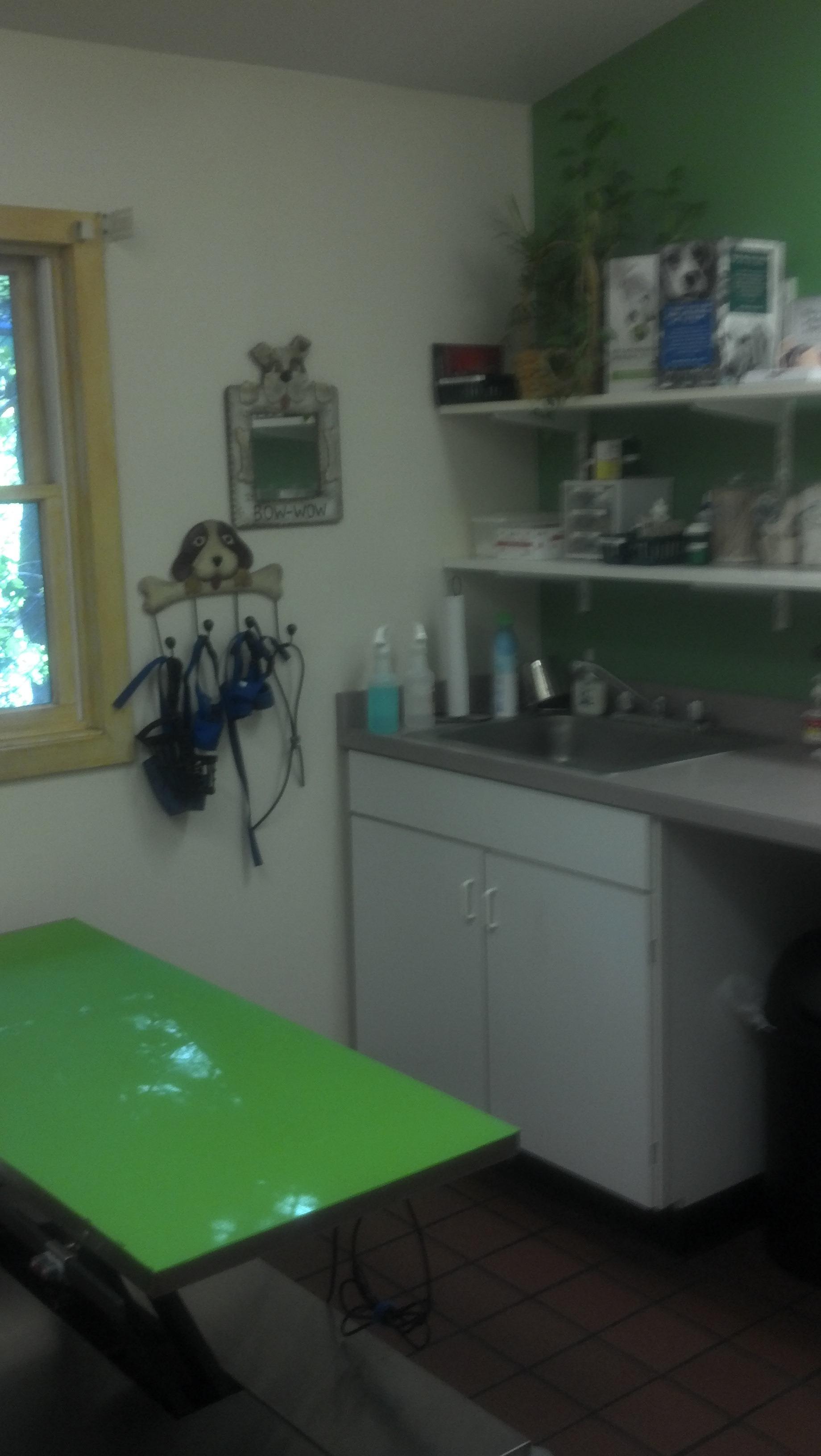 Dog Exam Room