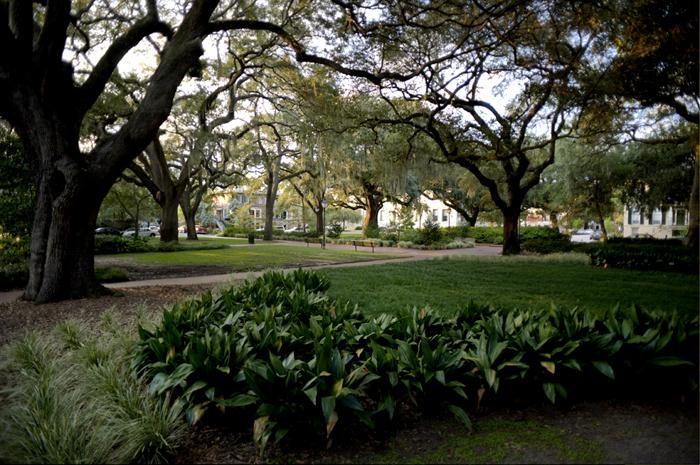 Some or our rooms overlook scenic Chatham Square!