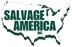 Salvage America