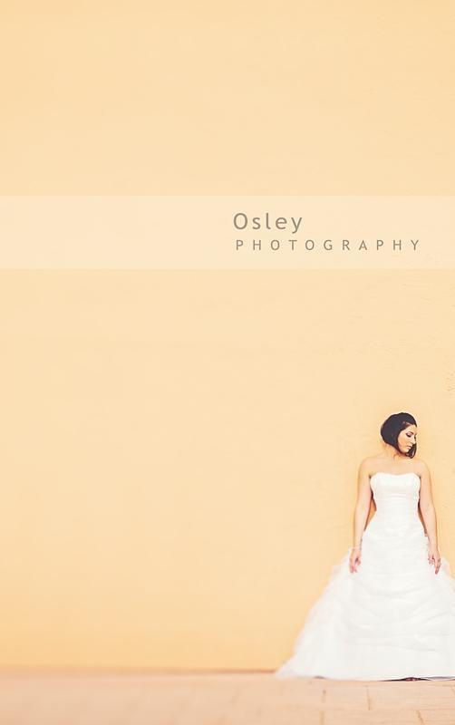 Bride portrait in Biltomore Hotel,miami by Osley Photography