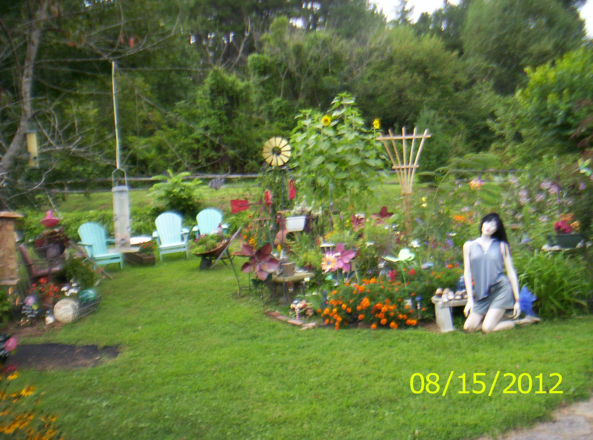 my  garden