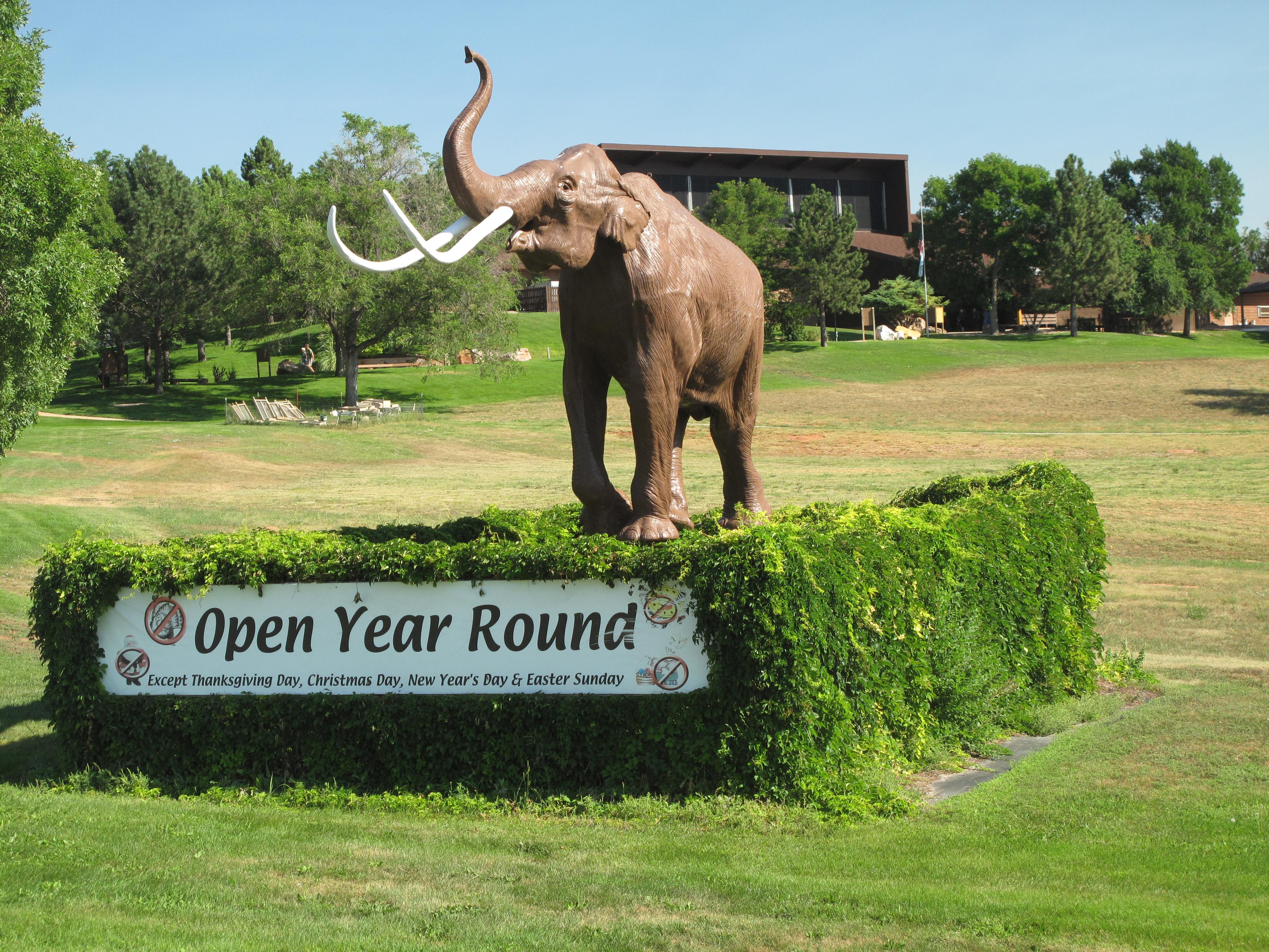 Columbian mammoth by road Mammoth Site building in background