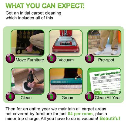 Kiwi Carpet Cleaning