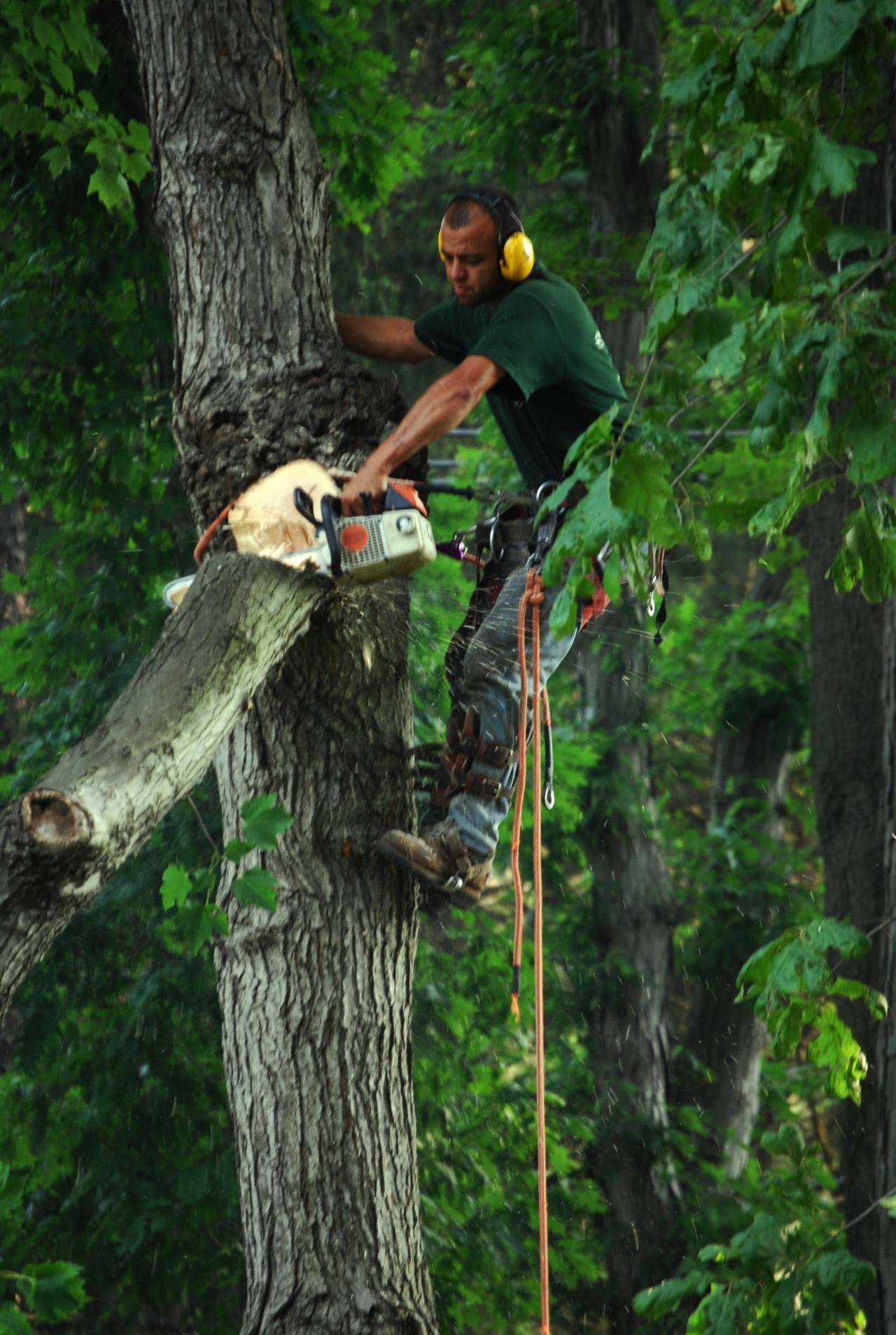 Pure Pride Landscaping & Tree Service