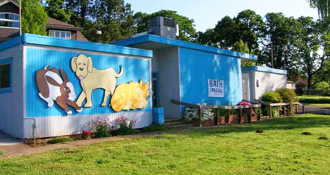 Neighborhood Animal Hospital