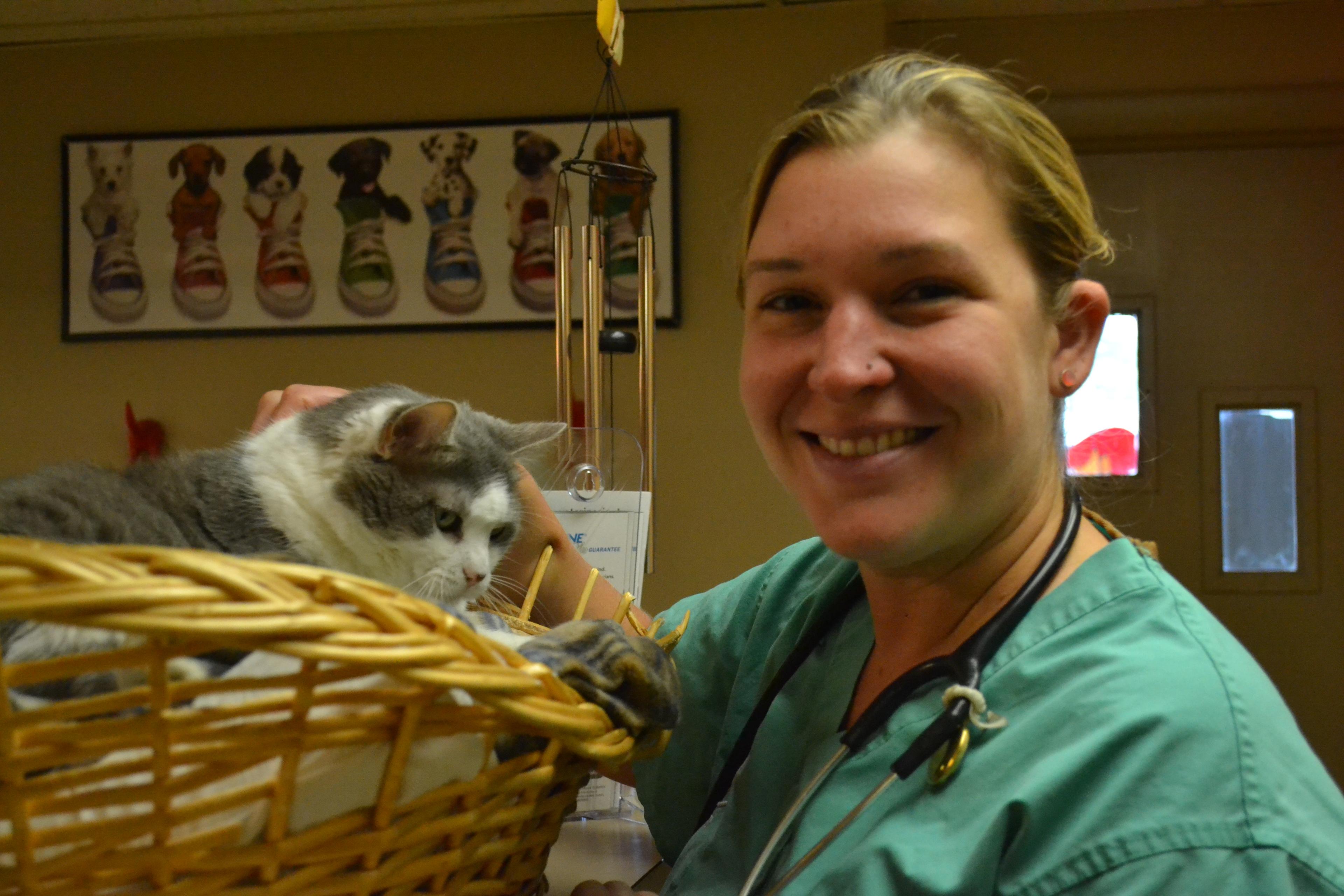 Chief of Staff Dr. Organist with hospital cat Mae