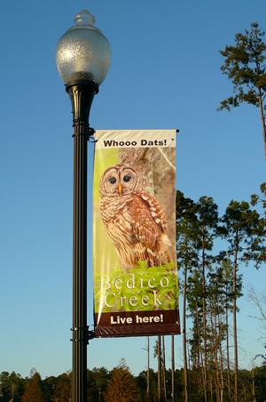 Bedico Creek - A Conservation Community