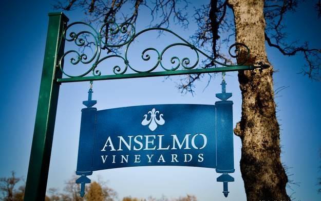 Anselmo Vineyards