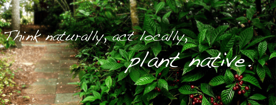 Think naturally, act locally, plant native.