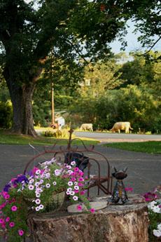 Girlfriends have a great time sitting on the porch watching the neighbor's cows, or in the hot tub, or in front of the fire, catching up with each other!