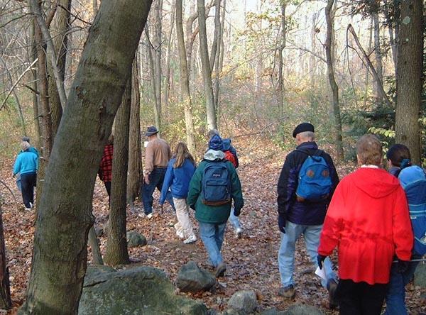 Walking a woodland trail